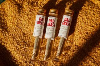 CBD et grossesse : précautions et contre-indications à connaître