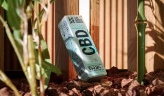 Vaporiser le CBD : avantages, températures et modèles conseillés